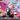 【POLL】$5 Deposit =10% OFF Coupon DokiDoki-SR Game Honkai: Star Rail Cosplay Sparxie Costume Candy-Coated Waves Sparkle SP